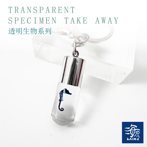 帶著走的迷你博物館 透明標本鑰匙圈 海馬 魚類標本 台灣海洋生物 帶著走的迷你博物館 透明標本鑰匙圈 海馬 魚類標本 台灣海洋生物