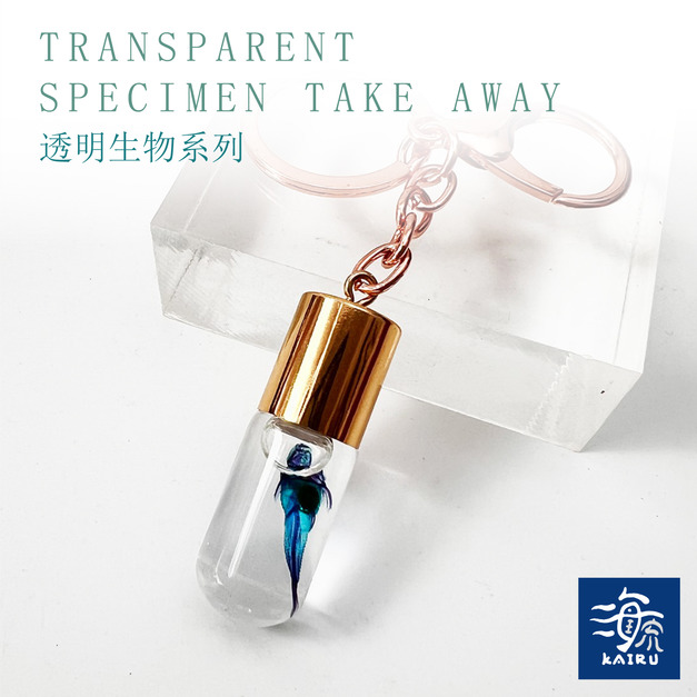 帶著走的迷你博物館 透明標本鑰匙圈 琵琶鼠/異形魚/甲鯰 帶著走的迷你博物館 透明標本鑰匙圈 琵琶鼠/異形魚/甲鯰