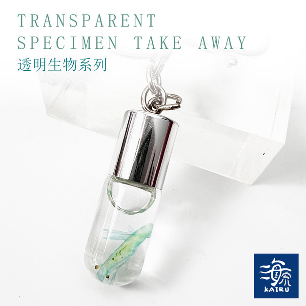 帶著走的迷你博物館 透明標本鑰匙圈 赤尾青 甲殼類標本 台灣海洋生物 帶著走的迷你博物館 透明標本鑰匙圈 赤尾青 甲殼類標本 台灣海洋生物