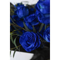 藍色玫瑰花束皇家厄瓜多爾進口|求婚花束|周年紀念_2 藍色玫瑰花束皇家厄瓜多爾進口|求婚花束|周年紀念_2