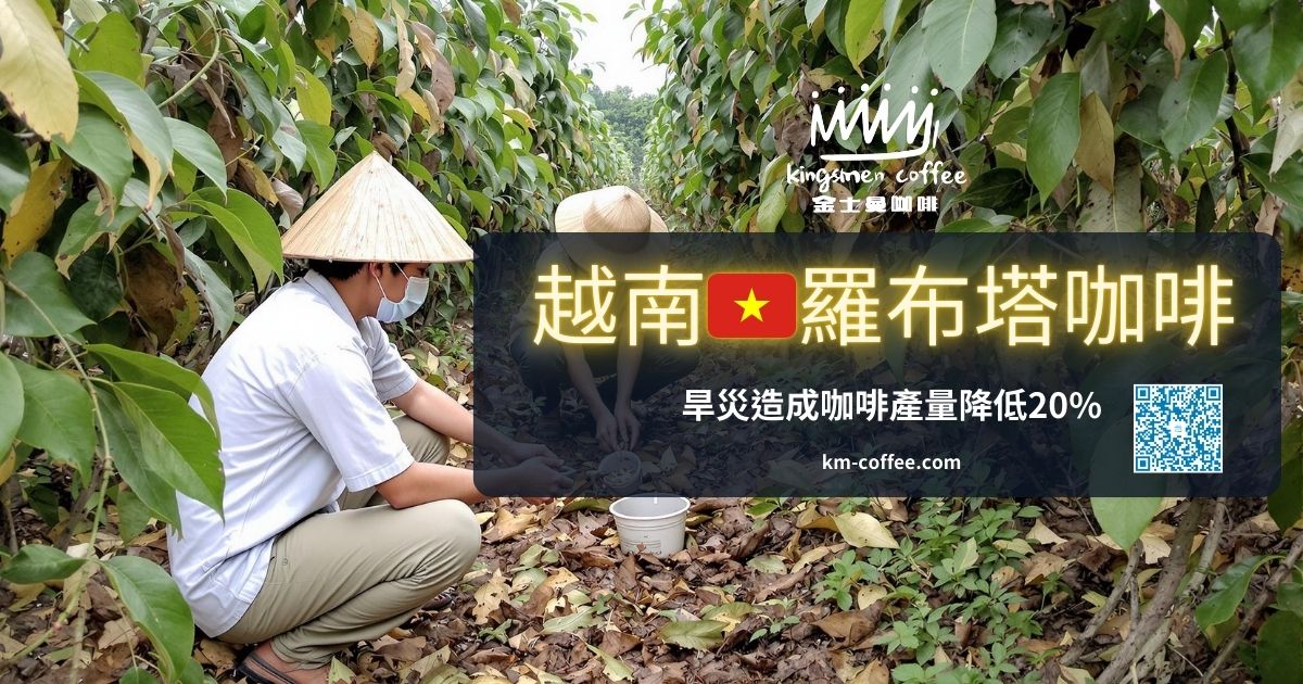 越南的羅布斯塔咖啡產量也受創慘烈-金士曼咖啡