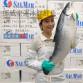 挪威空運冰鮮鮭魚(整尾分切)_3 挪威空運冰鮮鮭魚(整尾分切)_3