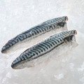 挪威冷凍鯖魚片 團購小資組(10片)_4 挪威冷凍鯖魚片 團購小資組(10片)_4