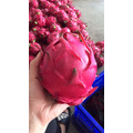 紅肉火龍果_4 紅肉火龍果_4