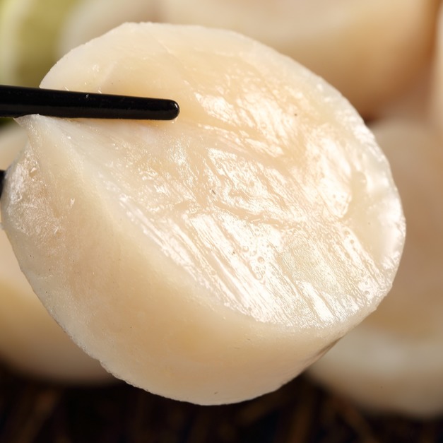 福田-石狩組合大干貝 福田-石狩組合大干貝