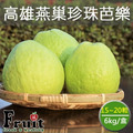 阿成-高雄燕巢珍珠芭樂_1 阿成-高雄燕巢珍珠芭樂_1