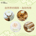 龜鹿鮫原錠_2 龜鹿鮫原錠_2