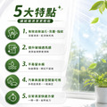 玻璃亮潔劑_2 玻璃亮潔劑_2
