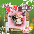 ⁂聖誕限量⁂【永生花無框畫】★松果限定款★ 線上課+材料包|媽媽課|親子課|小小花藝師養成班 ⁂聖誕限量⁂【永生花無框畫】★松果限定款★ 線上課+材料包|媽媽課|親子課|小小花藝師養成班
