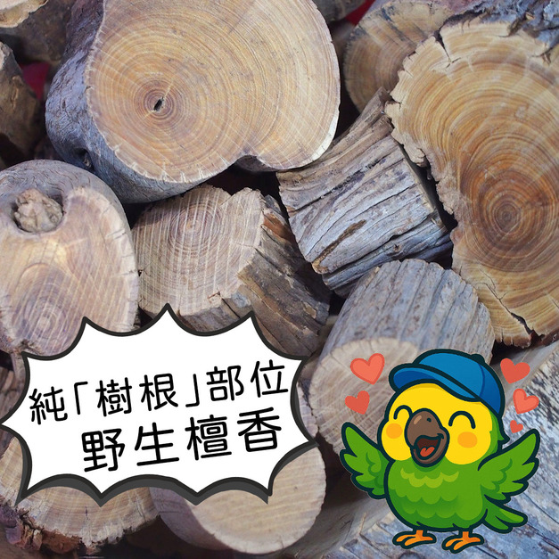 西澳新山根檀香原木塊(野生)