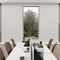 TheTreeProjects|撞到月亮的樹 台灣杉_2 TheTreeProjects|撞到月亮的樹 台灣杉_2
