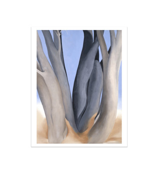 歐姬芙 Georgia O'Keeffe|黑色的樹幹 Dark Tree Trunks