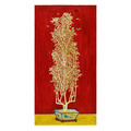 Sanyu 常玉|菊花 Sanyu 常玉|菊花