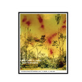 Wolfgang Tillmans|ICESTORM (2001)_1 Wolfgang Tillmans|ICESTORM (2001)_1