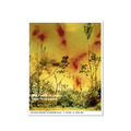 Wolfgang Tillmans|ICESTORM (2001) Wolfgang Tillmans|ICESTORM (2001)