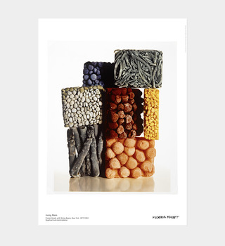 Irving Penn|Frozen Foods with String Beans