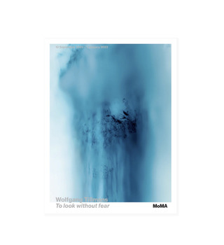 Wolfgang Tillmans|To look without fear