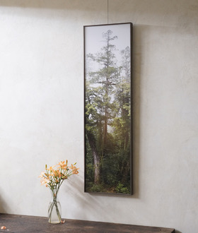 TreeProjects|桃山神木 TreeProjects|桃山神木