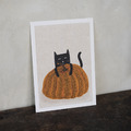 Niaski|Catsama’s Pumpkin Cat_1 Niaski|Catsama’s Pumpkin Cat_1