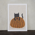 Niaski|Catsama’s Pumpkin Cat Niaski|Catsama’s Pumpkin Cat