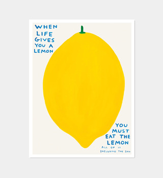 David Shrigley|When Life Gives You A Lemon (當生活給你檸檬)
