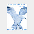 David Shrigley|I Did Not Ask To Be a Bird (我沒有要求成為一隻鳥) David Shrigley|I Did Not Ask To Be a Bird (我沒有要求成為一隻鳥)