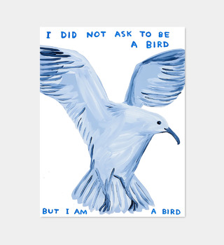 David Shrigley|I Did Not Ask To Be a Bird (我沒有要求成為一隻鳥)