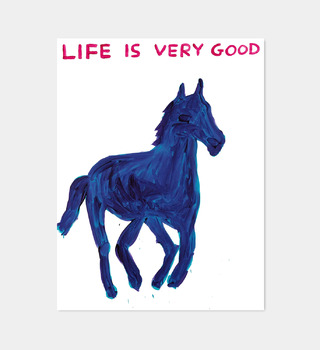 David Shrigley|Life is Very Good (生活美好)
