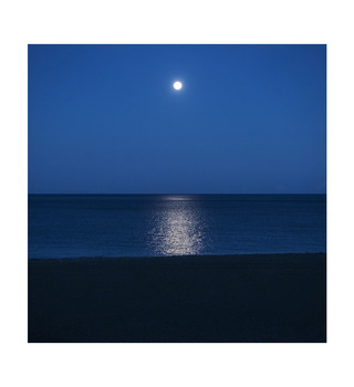 aPo|See Sea | 月光啤酒