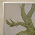 限量|中村萌 Moe NAKAMURA|Growth_8 限量|中村萌 Moe NAKAMURA|Growth_8