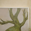 限量|中村萌 Moe NAKAMURA|Growth_7 限量|中村萌 Moe NAKAMURA|Growth_7
