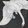 Hilma af Klint|The Swan, no 1 (天鵝,no 1)_3 Hilma af Klint|The Swan, no 1 (天鵝,no 1)_3