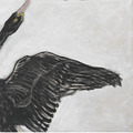 Hilma af Klint|The Swan, no 1 (天鵝,no 1)_2 Hilma af Klint|The Swan, no 1 (天鵝,no 1)_2