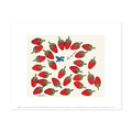 Andy Warhol|So Sweet Andy Warhol|So Sweet