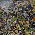 Pollock|Lucifer_12 Pollock|Lucifer_12