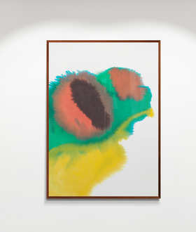 Rop van Mierlo|Frog Rop van Mierlo|Frog