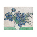 梵谷 Van Gogh|Irises 梵谷 Van Gogh|Irises