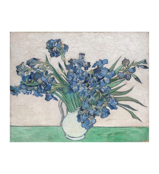 梵谷 Van Gogh|Irises