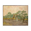 梵谷 Van Gogh|Women Picking Olives 梵谷 Van Gogh|Women Picking Olives