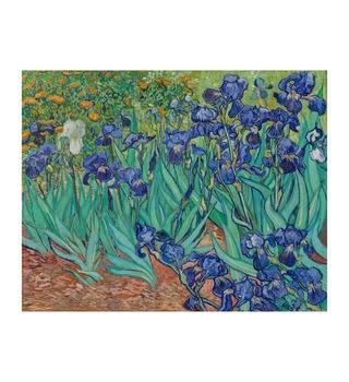 梵谷 Van Gogh|Irises 1899