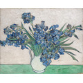 梵谷 Van Gogh|Irises_6 梵谷 Van Gogh|Irises_6