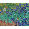 梵谷 Van Gogh|Irises 1899_6 梵谷 Van Gogh|Irises 1899_6