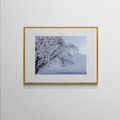 吳金燦 Leo Wu|021 sakura 櫻_3 吳金燦 Leo Wu|021 sakura 櫻_3
