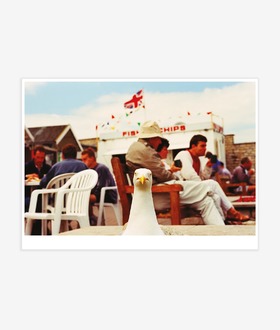 Martin Parr|West Bay Martin Parr|West Bay