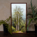 TheTreeProjects|撞到月亮的樹 台灣杉(燈箱)_1 TheTreeProjects|撞到月亮的樹 台灣杉(燈箱)_1