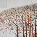David Hockney|Bigger Trees Near Warter (B3)_2 David Hockney|Bigger Trees Near Warter (B3)_2