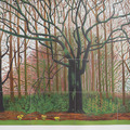 David Hockney|Bigger Trees Near Warter (B3)_1 David Hockney|Bigger Trees Near Warter (B3)_1