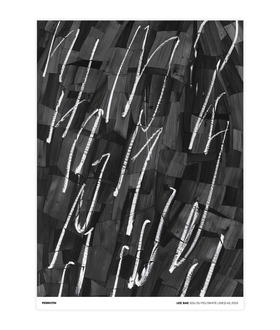 Lee Bae - Issu du Feu (White Lines) A3, 2023 (Standard)