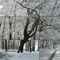 David Hockney|Woldgate Woods, Winter, 2010_2 David Hockney|Woldgate Woods, Winter, 2010_2