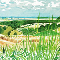 David Hockney|Looking Towards Huggate (Midsummer: East Yorkshire)_1 David Hockney|Looking Towards Huggate (Midsummer: East Yorkshire)_1